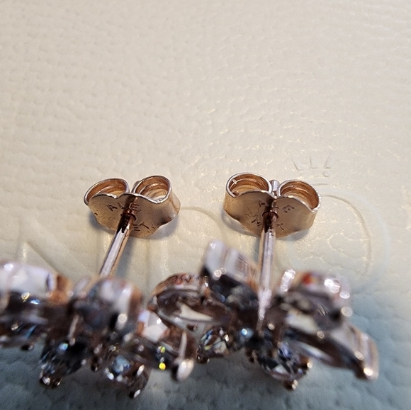 Pandora Sparkling Herbarium Cluster Stud Earrings - Picture 8 of 8